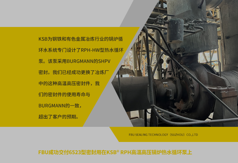 适用于KSB® RPH的密封解决方案