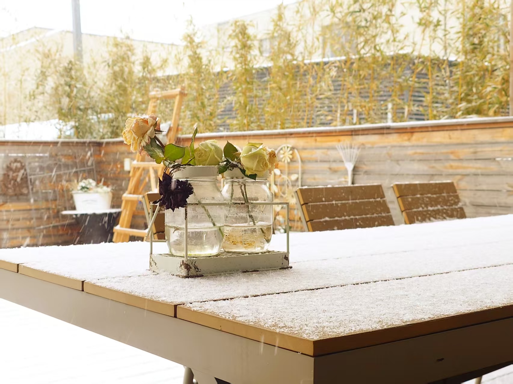 雪落常熟，暖意福步——诚邀您共赏冬韵，莅临工厂