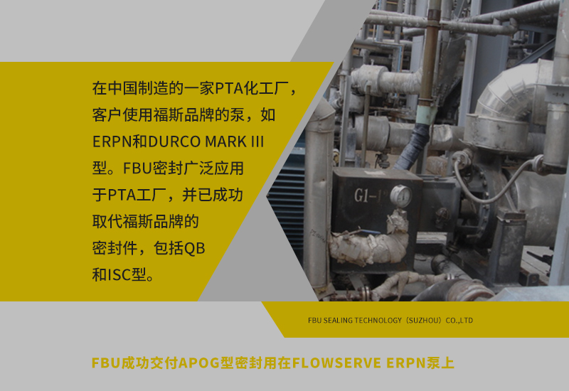 适用于Flowserve® ERPN的密封解决方案